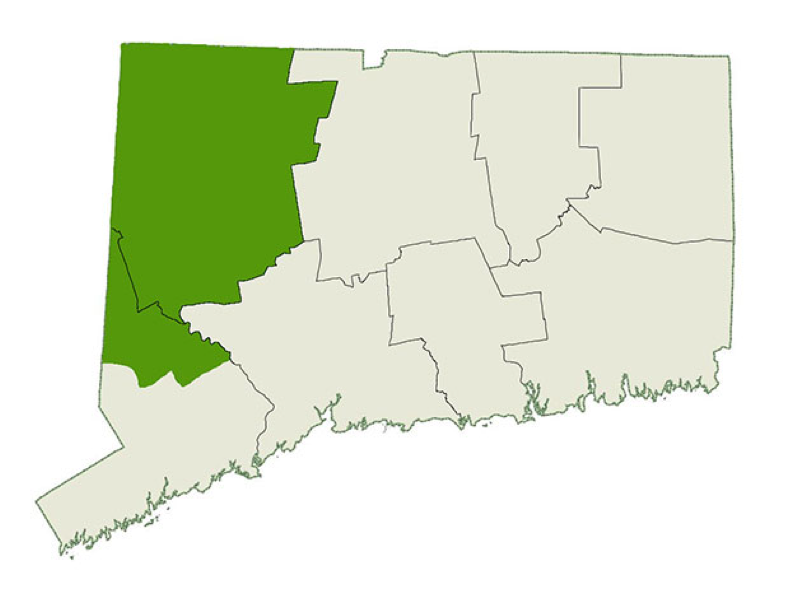 DogWatch of Litchfield County